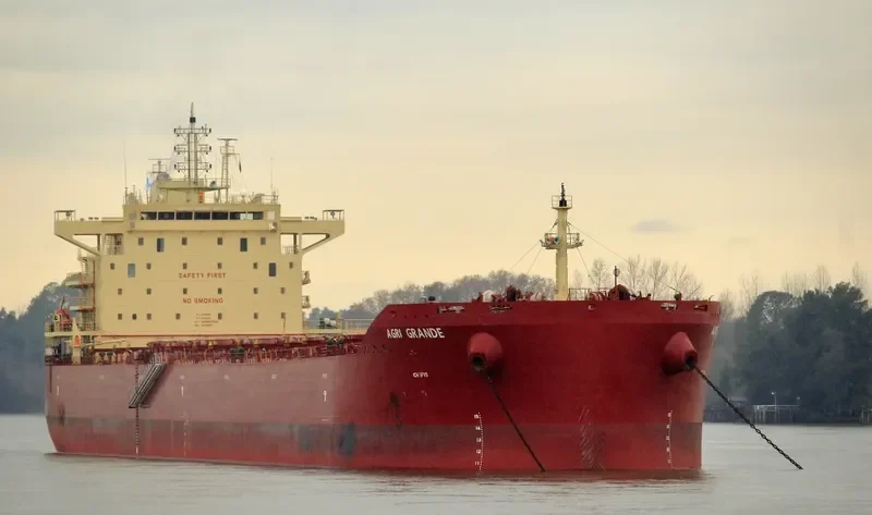 AGRI GRANDE Bulk Carrier IMO 9718997 photo 3