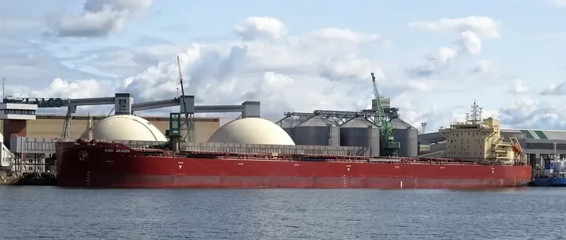AGRI GRANDE Bulk Carrier IMO 9718997 photo 4