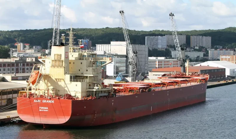 AGRI GRANDE Bulk Carrier IMO 9718997 photo 7