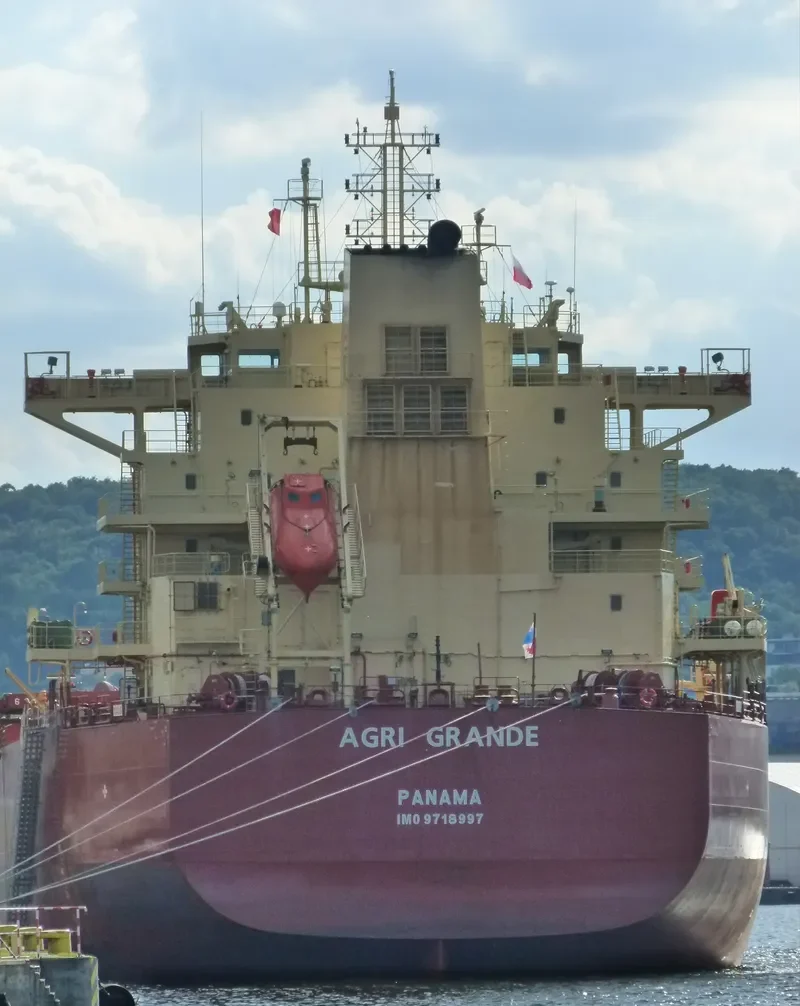 AGRI GRANDE Bulk Carrier IMO 9718997 photo 8