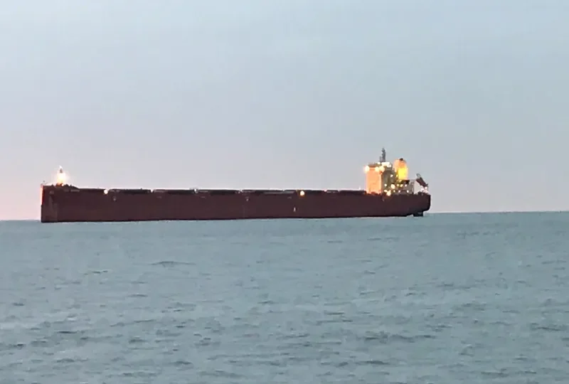 AGRI GRANDE Bulk Carrier IMO 9718997 photo 10