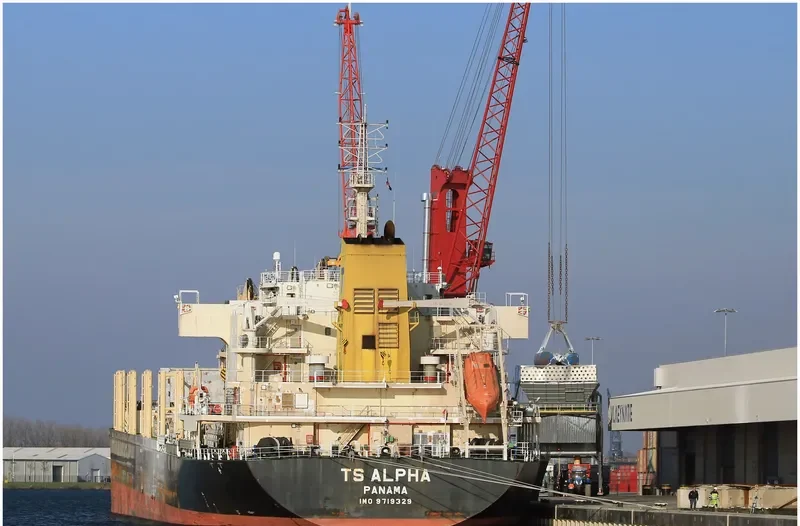 TS ALPHA Bulk Carrier IMO 9719329