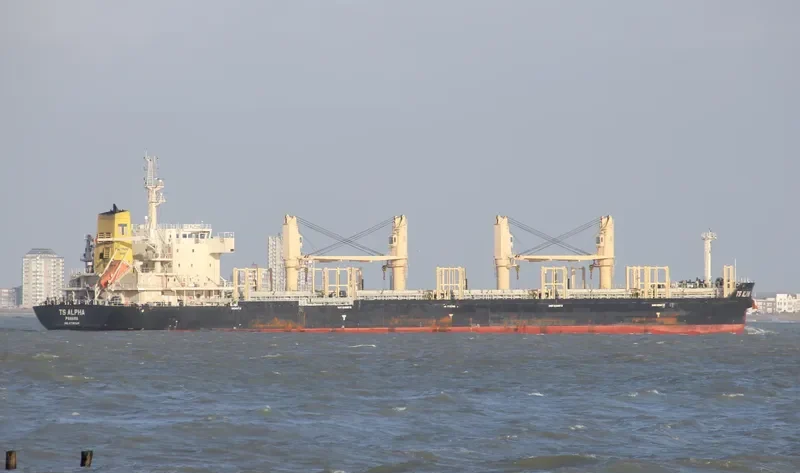 TS ALPHA Bulk Carrier IMO 9719329 photo 5