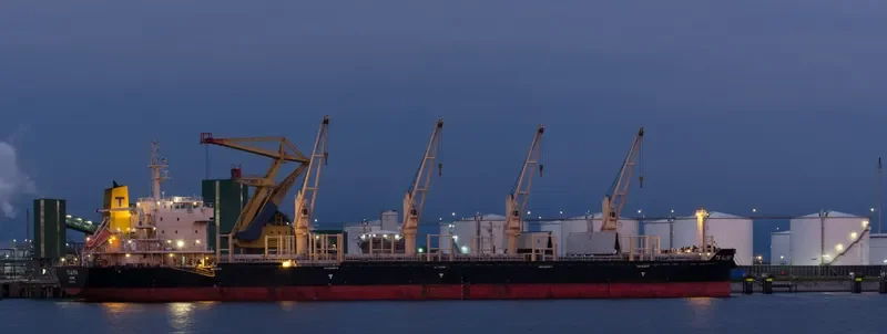 TS ALPHA Bulk Carrier IMO 9719329 photo 6