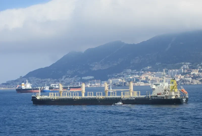 TS ALPHA Bulk Carrier IMO 9719329 photo 7