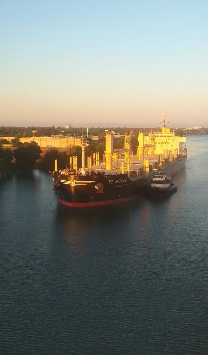 TS BRAVO Bulk Carrier IMO 9719331 photo 5