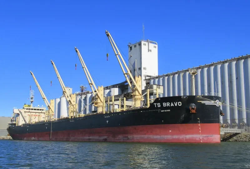 TS BRAVO Bulk Carrier IMO 9719331 photo 6