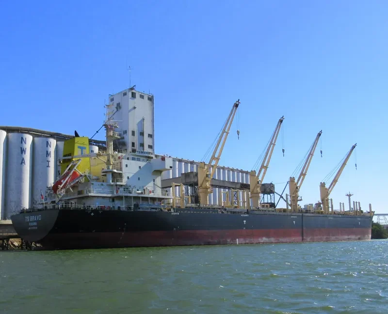 TS BRAVO Bulk Carrier IMO 9719331 photo 8