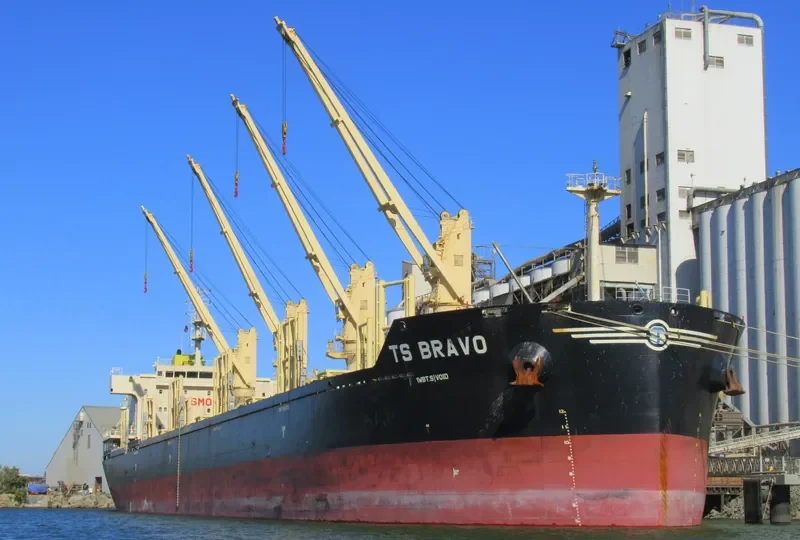 TS BRAVO Bulk Carrier IMO 9719331 photo 9