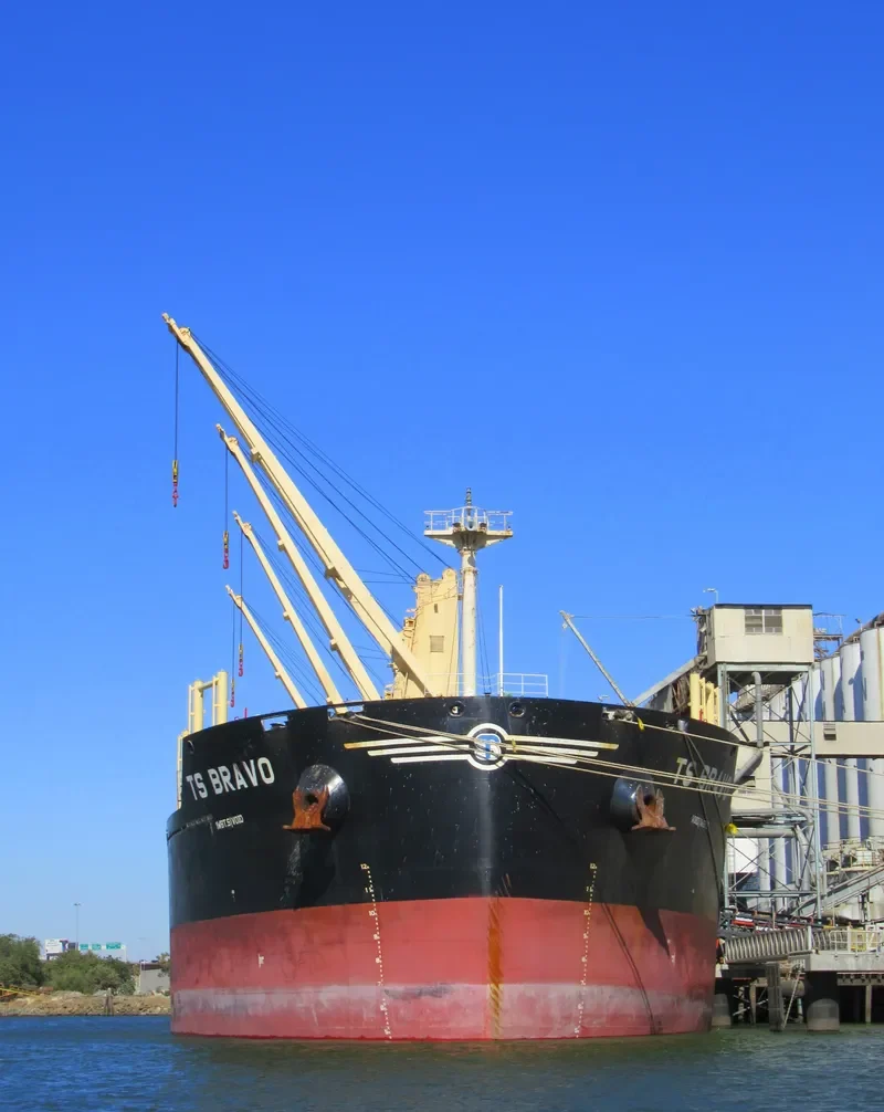 TS BRAVO Bulk Carrier IMO 9719331 photo 10