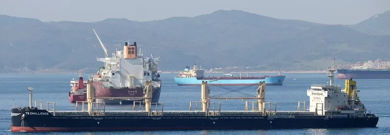 TS CHALLENGE Bulk Carrier IMO 9719343