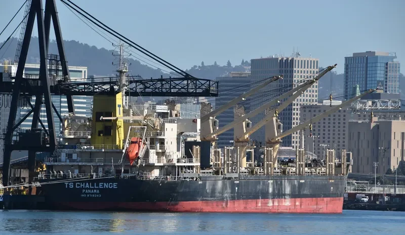 TS CHALLENGE Bulk Carrier IMO 9719343 photo 5