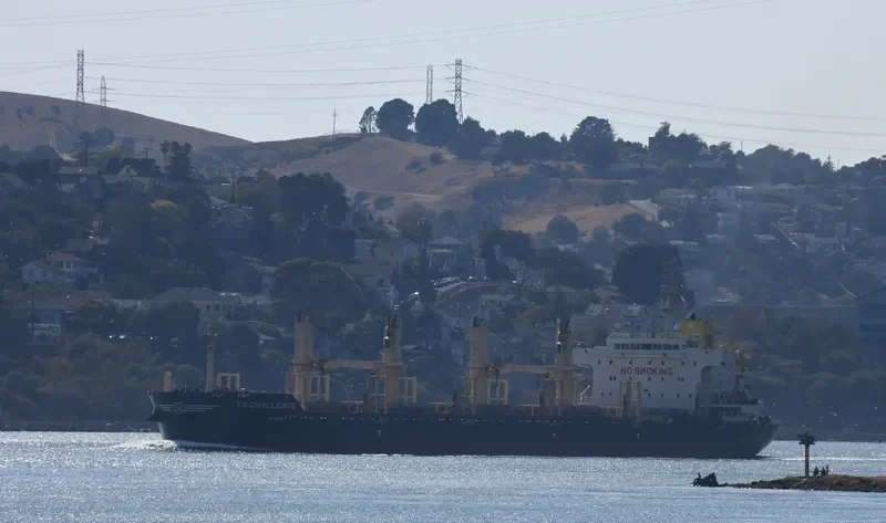 TS CHALLENGE Bulk Carrier IMO 9719343 photo 7