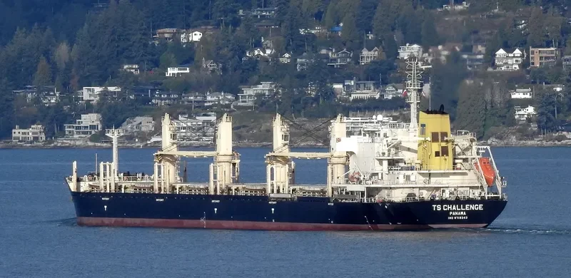 TS CHALLENGE Bulk Carrier IMO 9719343 photo 8