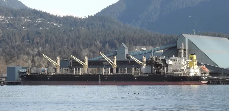 TS CHALLENGE Bulk Carrier IMO 9719343 photo 9