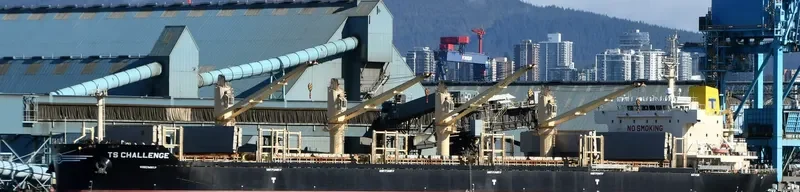 TS CHALLENGE Bulk Carrier IMO 9719343 photo 10