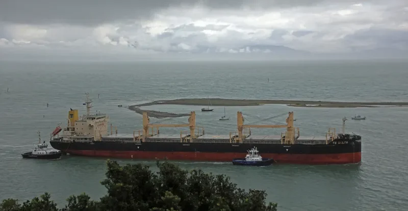 TS DELTA Bulk Carrier IMO 9719355 photo 3