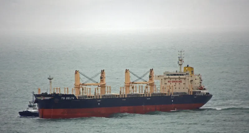 TS DELTA Bulk Carrier IMO 9719355 photo 7