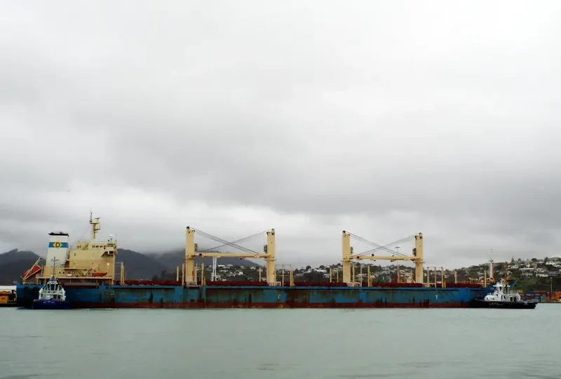 TS DELTA Bulk Carrier IMO 9719355 photo 8