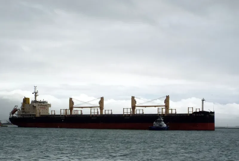 TS DELTA Bulk Carrier IMO 9719355 photo 9