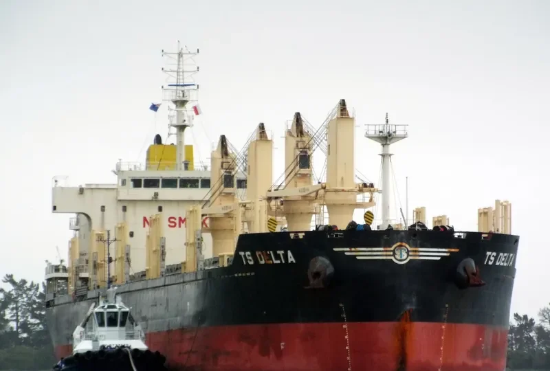 TS DELTA Bulk Carrier IMO 9719355 photo 10