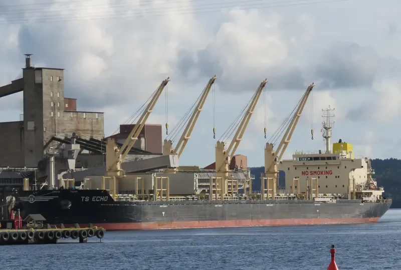 TS ECHO Bulk Carrier IMO 9719367 photo 3