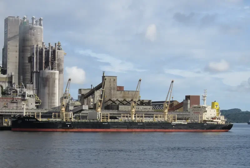 TS ECHO Bulk Carrier IMO 9719367 photo 4