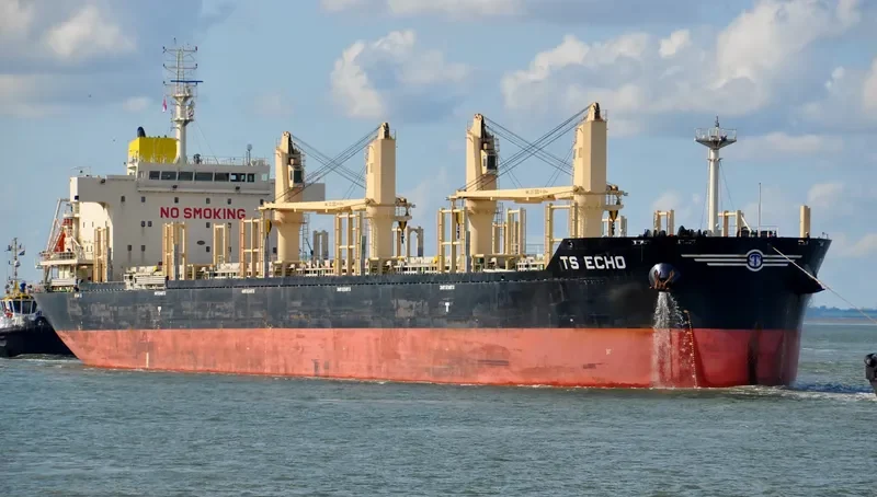 TS ECHO Bulk Carrier IMO 9719367 photo 6
