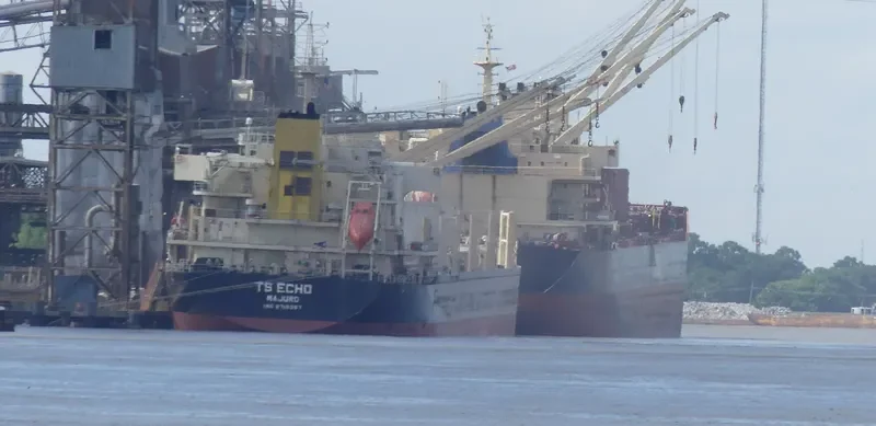 TS ECHO Bulk Carrier IMO 9719367 photo 7