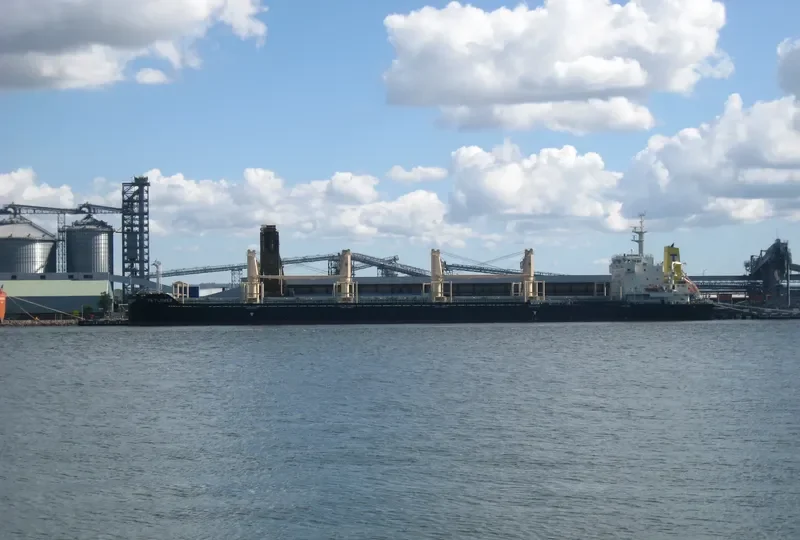 TS FLOWER Bulk Carrier IMO 9719379