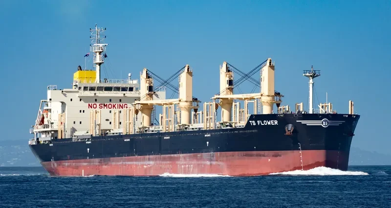 TS FLOWER Bulk Carrier IMO 9719379 photo 2