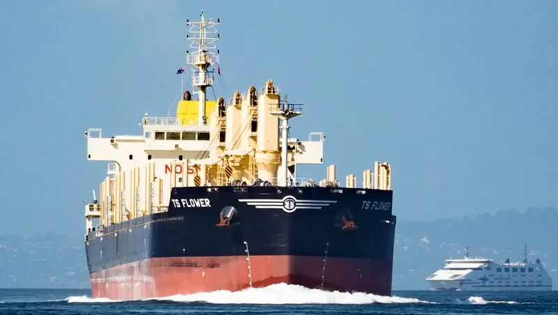 TS FLOWER Bulk Carrier IMO 9719379 photo 3