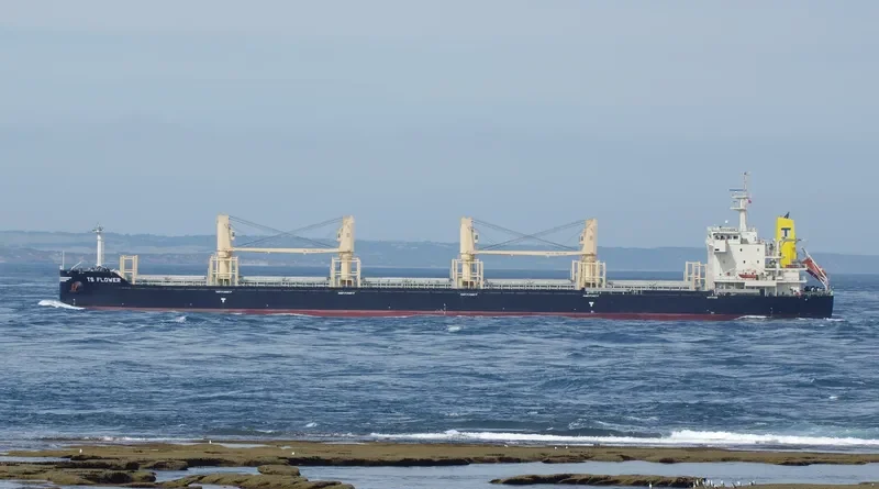 TS FLOWER Bulk Carrier IMO 9719379 photo 4