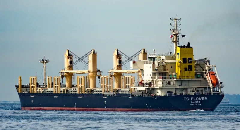 TS FLOWER Bulk Carrier IMO 9719379 photo 5
