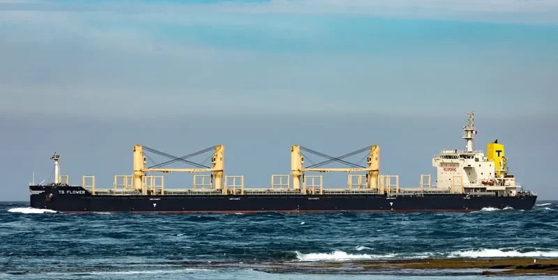 TS FLOWER Bulk Carrier IMO 9719379 photo 6