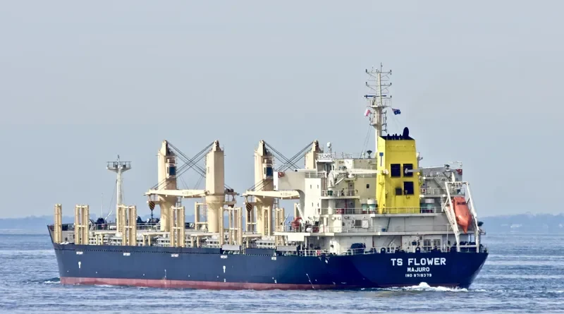 TS FLOWER Bulk Carrier IMO 9719379 photo 7