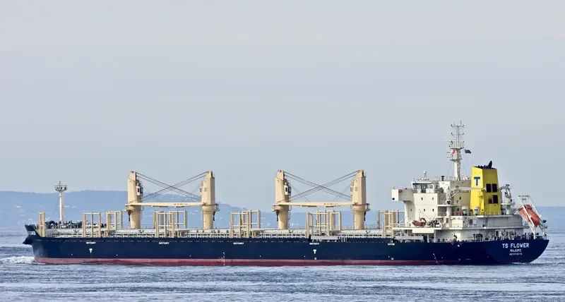 TS FLOWER Bulk Carrier IMO 9719379 photo 8