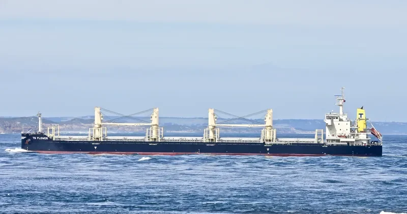 TS FLOWER Bulk Carrier IMO 9719379 photo 9