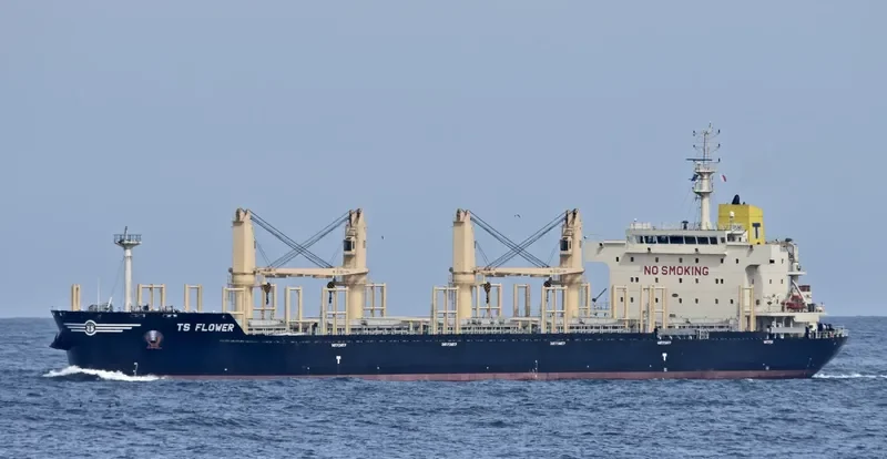 TS FLOWER Bulk Carrier IMO 9719379 photo 10