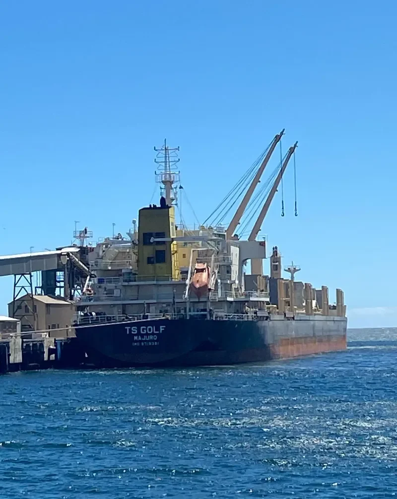 TS GOLF Bulk Carrier IMO 9719381