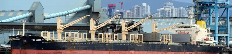 TS GOLF Bulk Carrier IMO 9719381 photo 2
