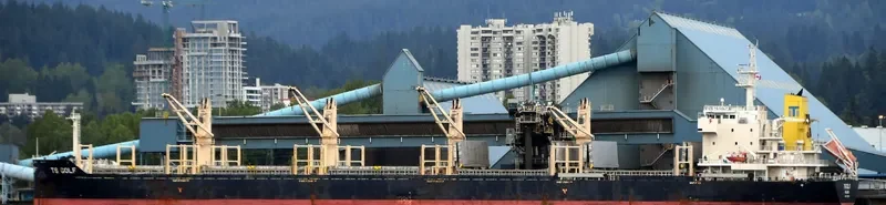 TS GOLF Bulk Carrier IMO 9719381 photo 3
