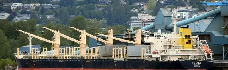 TS GOLF Bulk Carrier IMO 9719381 photo 4