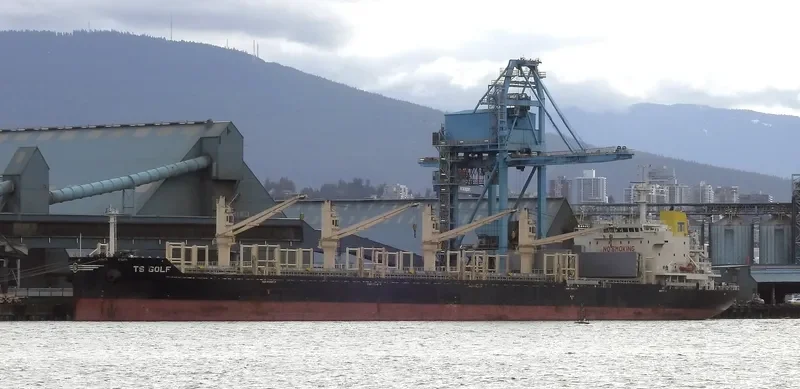 TS GOLF Bulk Carrier IMO 9719381 photo 5