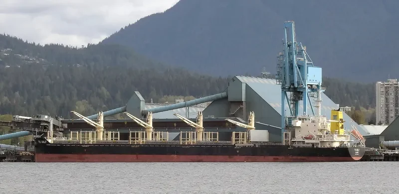 TS GOLF Bulk Carrier IMO 9719381 photo 6