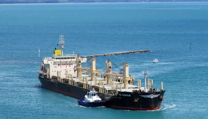 TS HONOUR Bulk Carrier IMO 9719393 photo 3