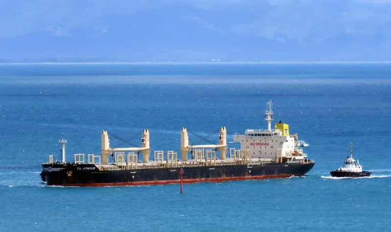TS HONOUR Bulk Carrier IMO 9719393 photo 5