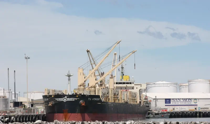 TS HONOUR Bulk Carrier IMO 9719393 photo 6