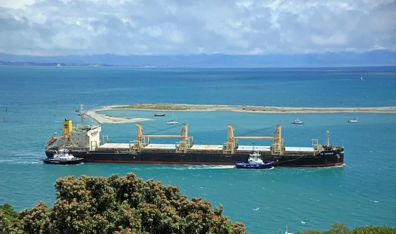 TS HONOUR Bulk Carrier IMO 9719393 photo 8