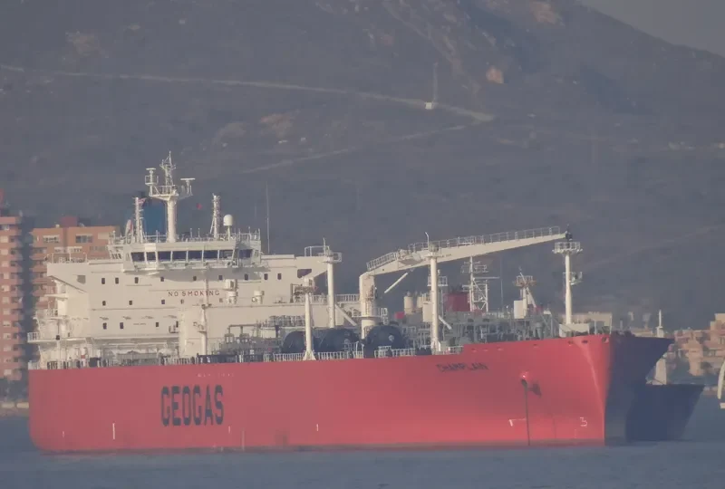 DELMA General Cargo IMO 9719408 photo 3